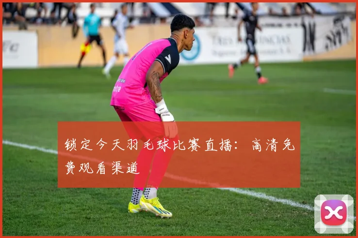 锁定今天羽毛球比赛直播：高清免费观看渠道